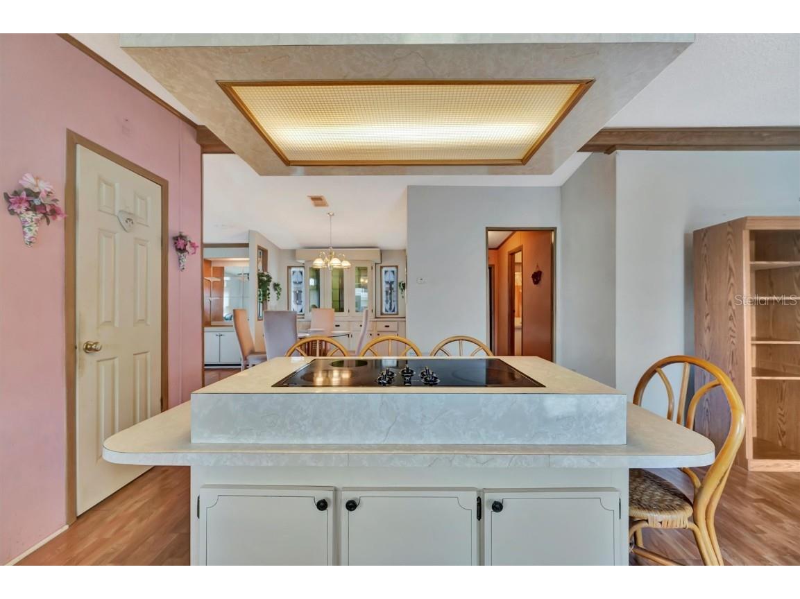 236 N Saint Thomas Circle Apollo Beach FL 33572 TB8437075 image15