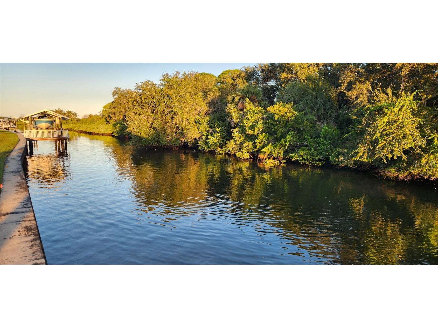 236 N Saint Thomas Circle Apollo Beach FL 33572 TB8437075 image4