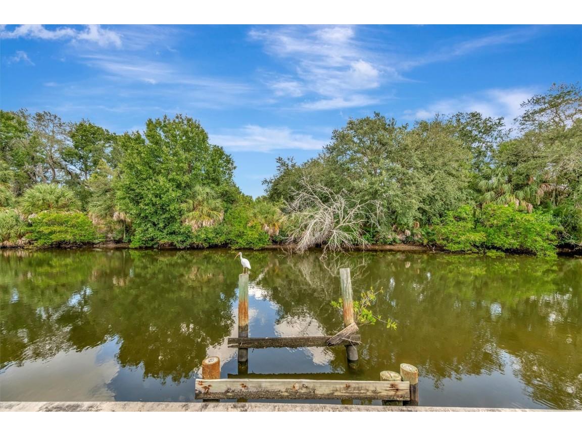 236 N Saint Thomas Circle Apollo Beach FL 33572 TB8437075 image7