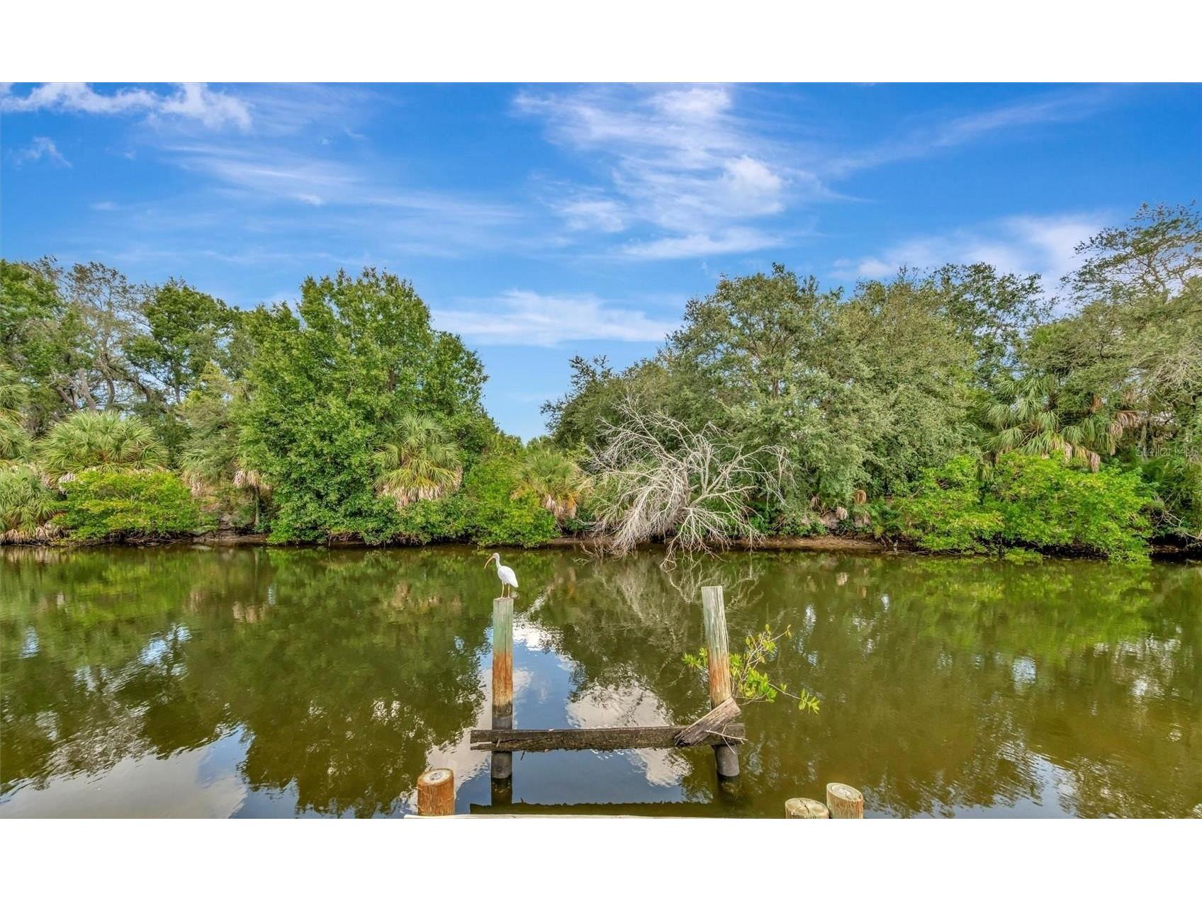236 N Saint Thomas Circle Apollo Beach FL 33572 TB8524203 image1