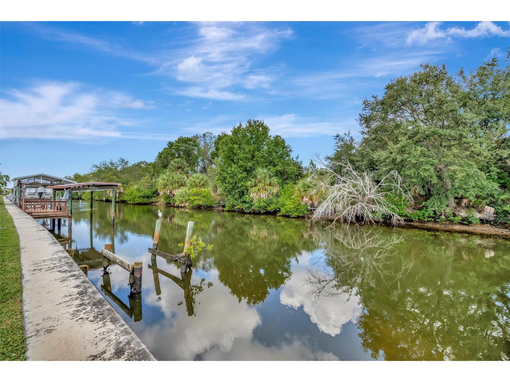 236 N Saint Thomas Circle Apollo Beach FL 33572 TB8524203 image32