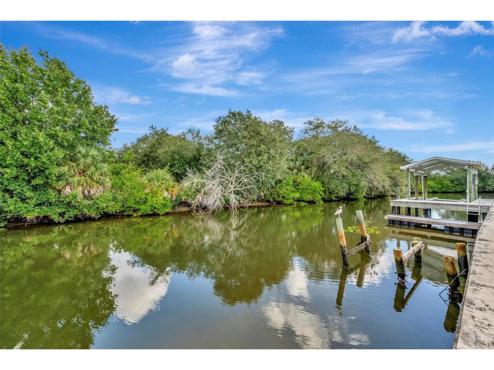 236 N Saint Thomas Circle Apollo Beach FL 33572 TB8524203 image4