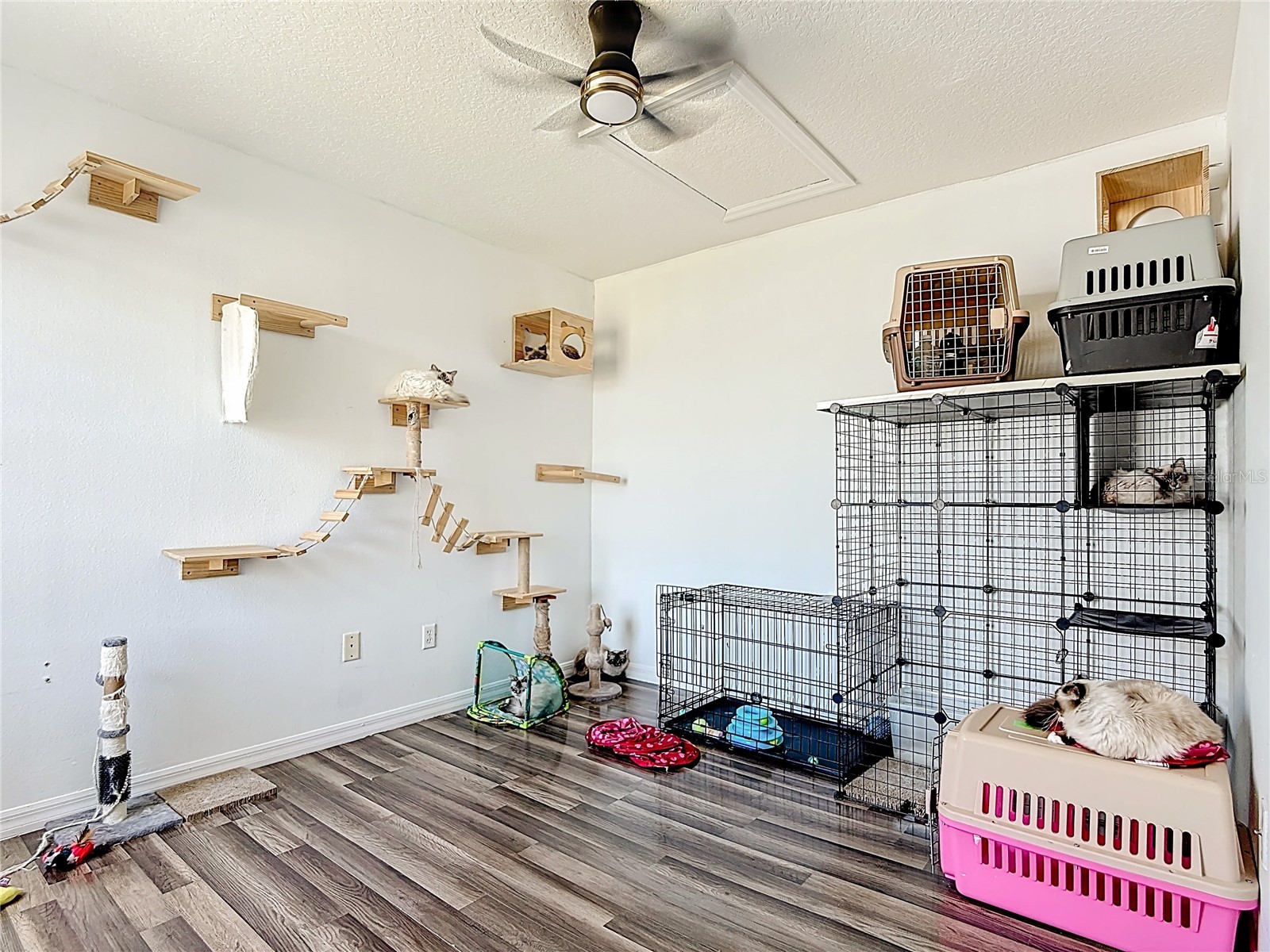 236 Orchid Drive Davenport FL 33897 O6400413 image38