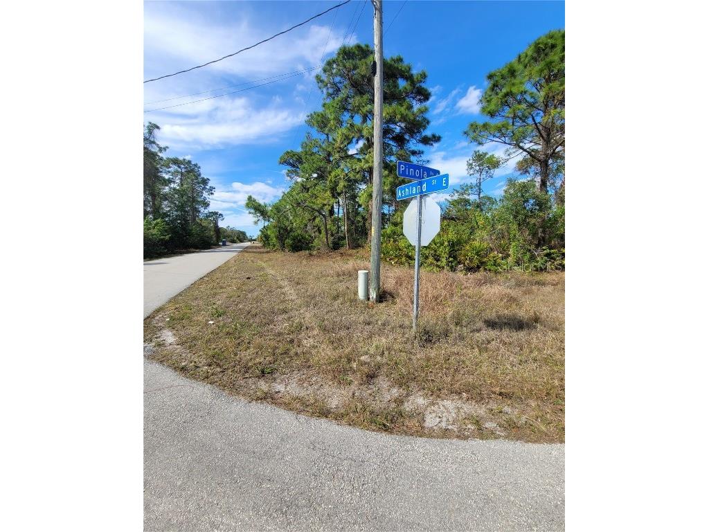 236 Pinola Avenue S Lehigh Acres FL 33974 TB8454062 image6