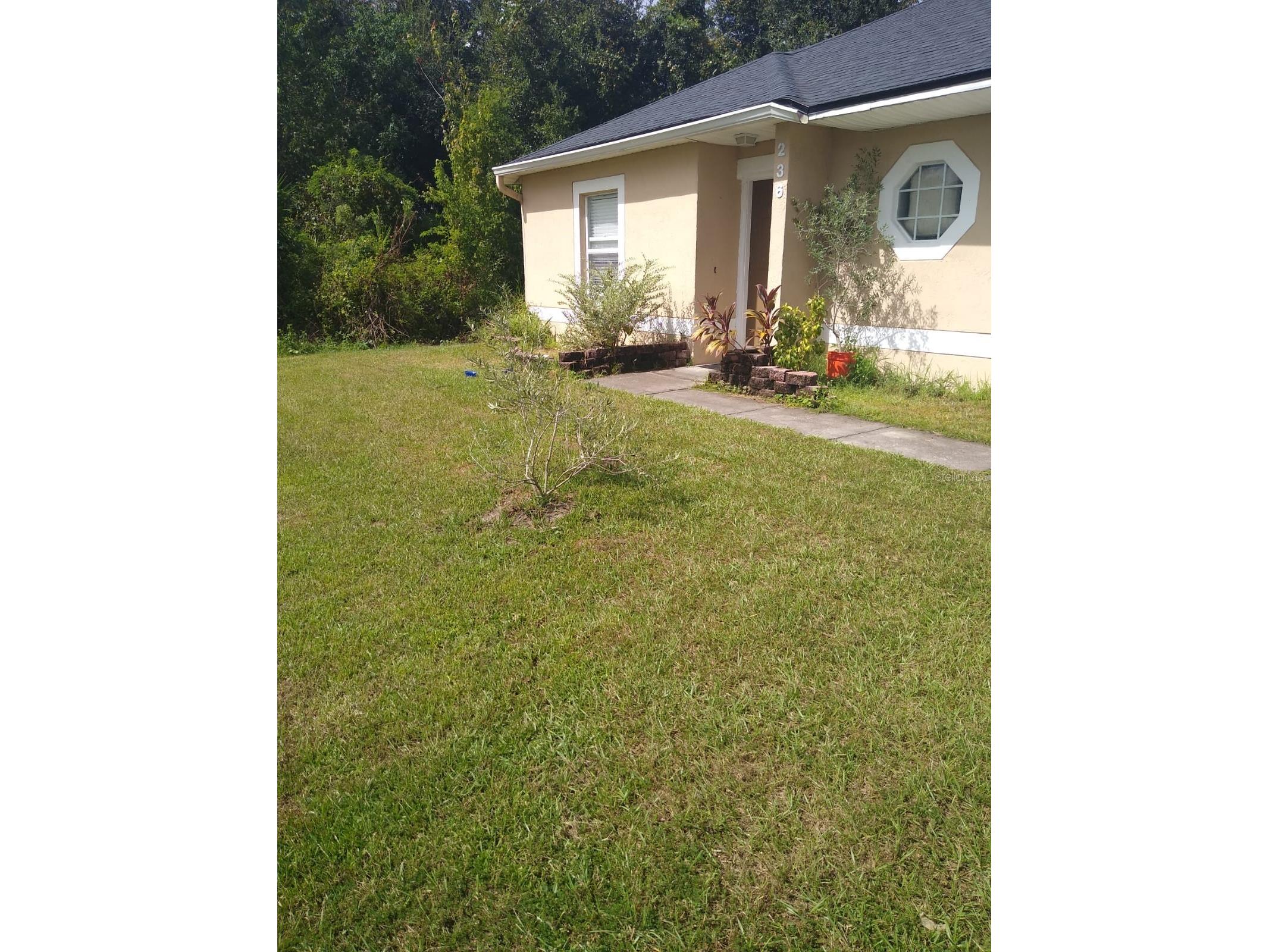 236 Rontunda Drive Kissimmee FL 34758 S5150020 image3