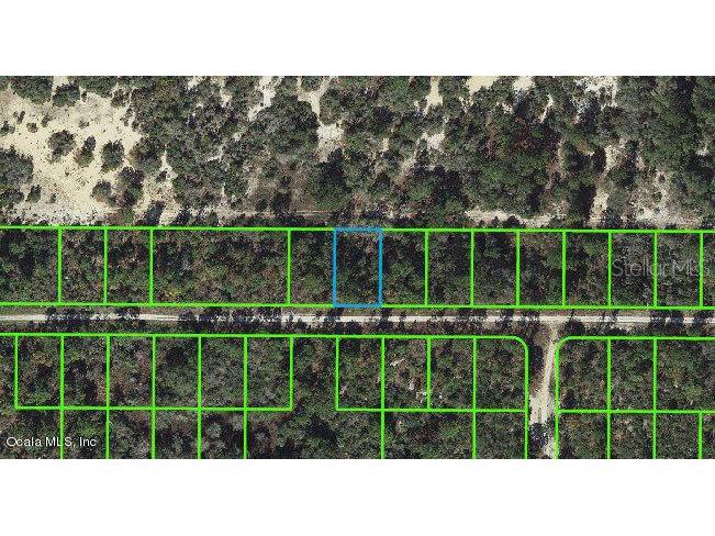 236 Rolling Hills Drive Lake Placid FL 33852 OM543132 image1