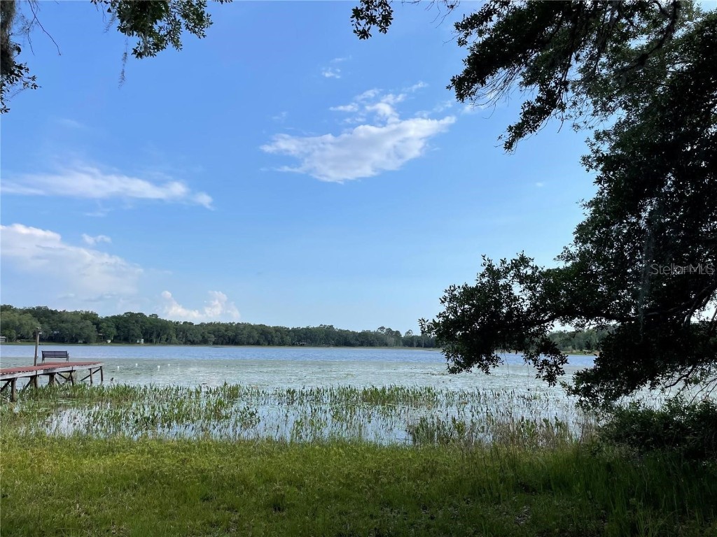 236 SW Shorewood Drive Dunnellon FL 34431 - Tiger Lake OM656144 image1
