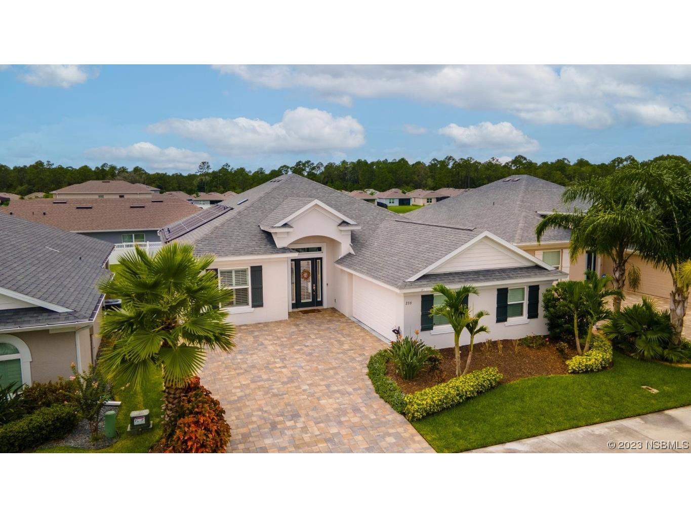 236 Venetian Palms Boulevard New Smyrna Beach FL 32168 NS1076740 image1