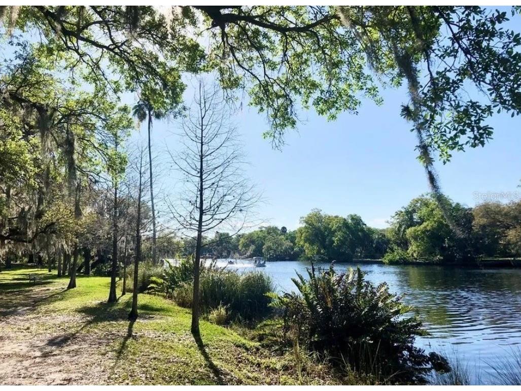 236 W North Street Tampa FL 33604 TB8483186 image33