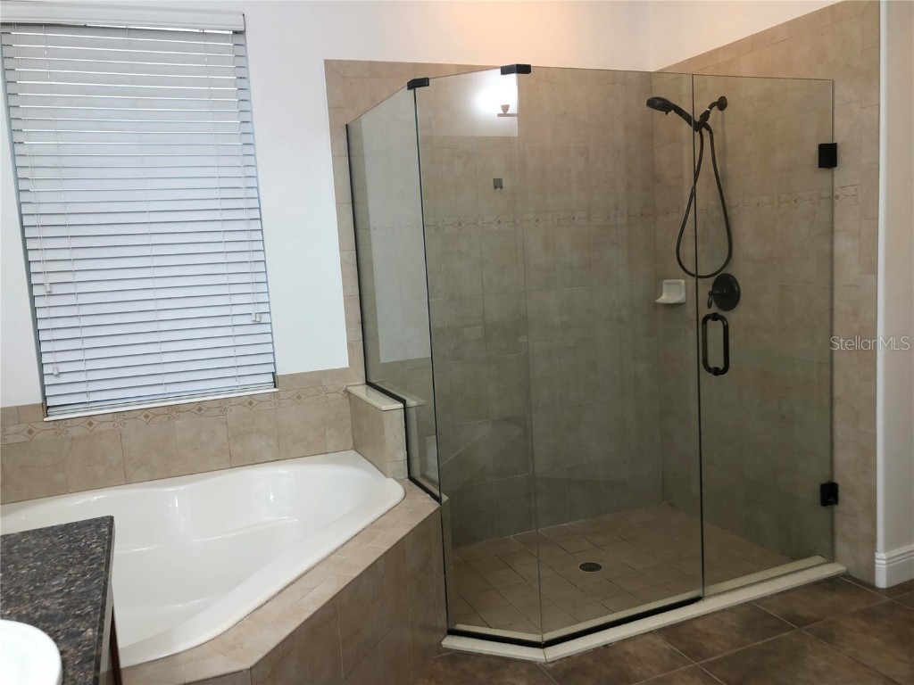 2360 Eagle Talon Court Kissimmee FL 34746 O6369734 image11