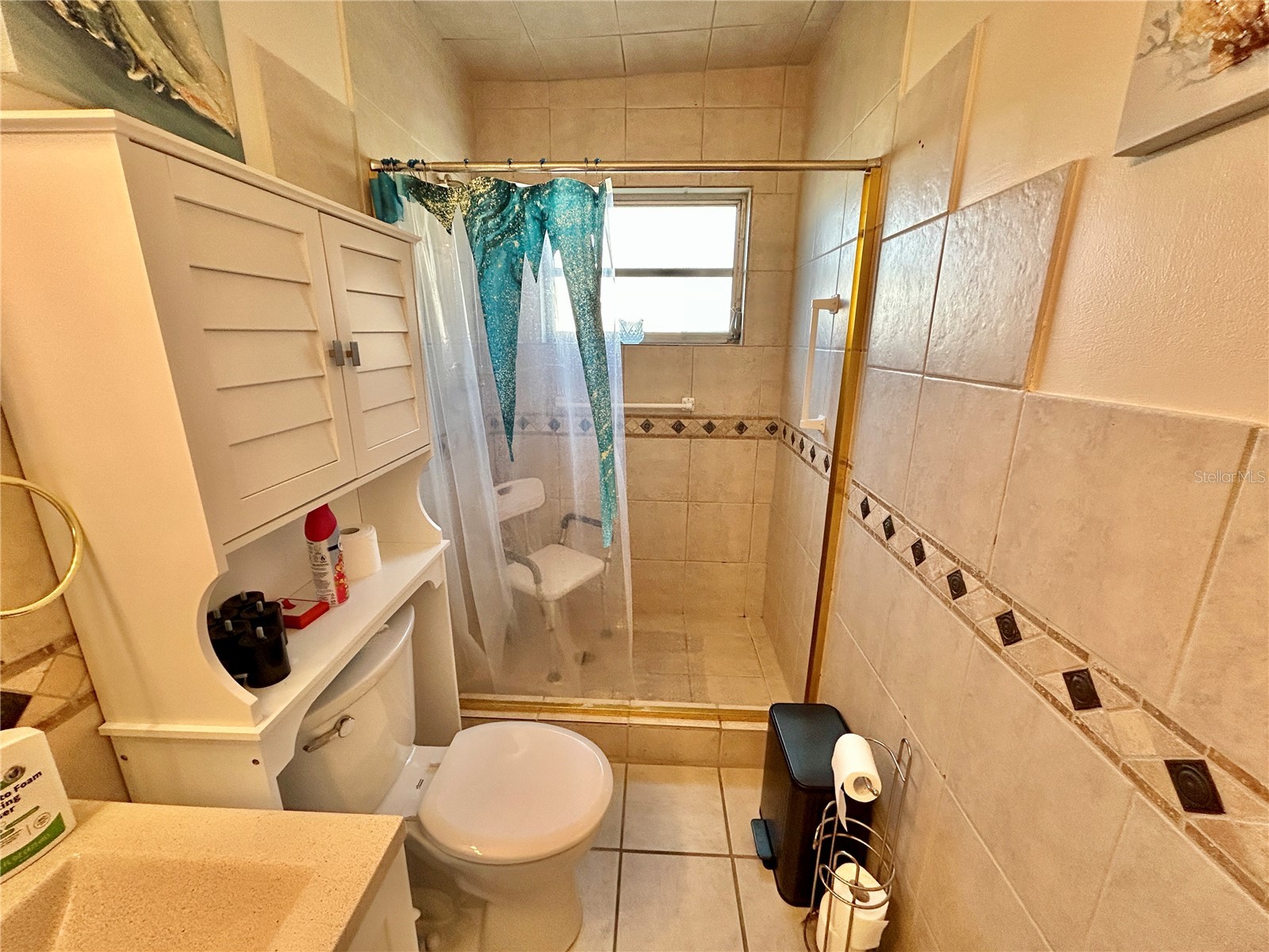 2360 Irish Lane #46 Clearwater FL 33763 TB8464620 image21