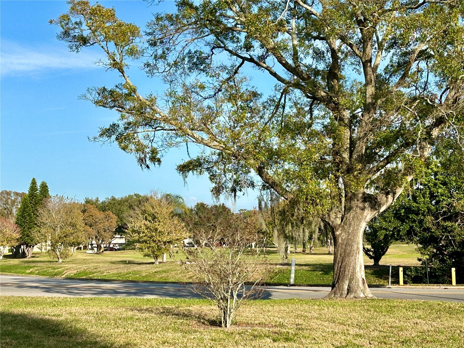 2360 Irish Lane #46 Clearwater FL 33763 TB8464620 image29