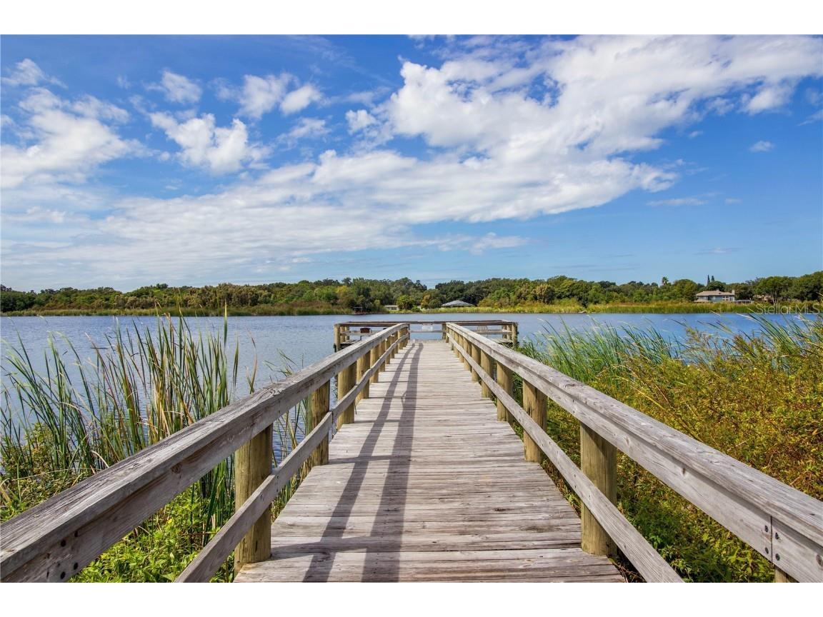 2360 Irish Lane #64 Clearwater FL 33763 TB8452963 image44