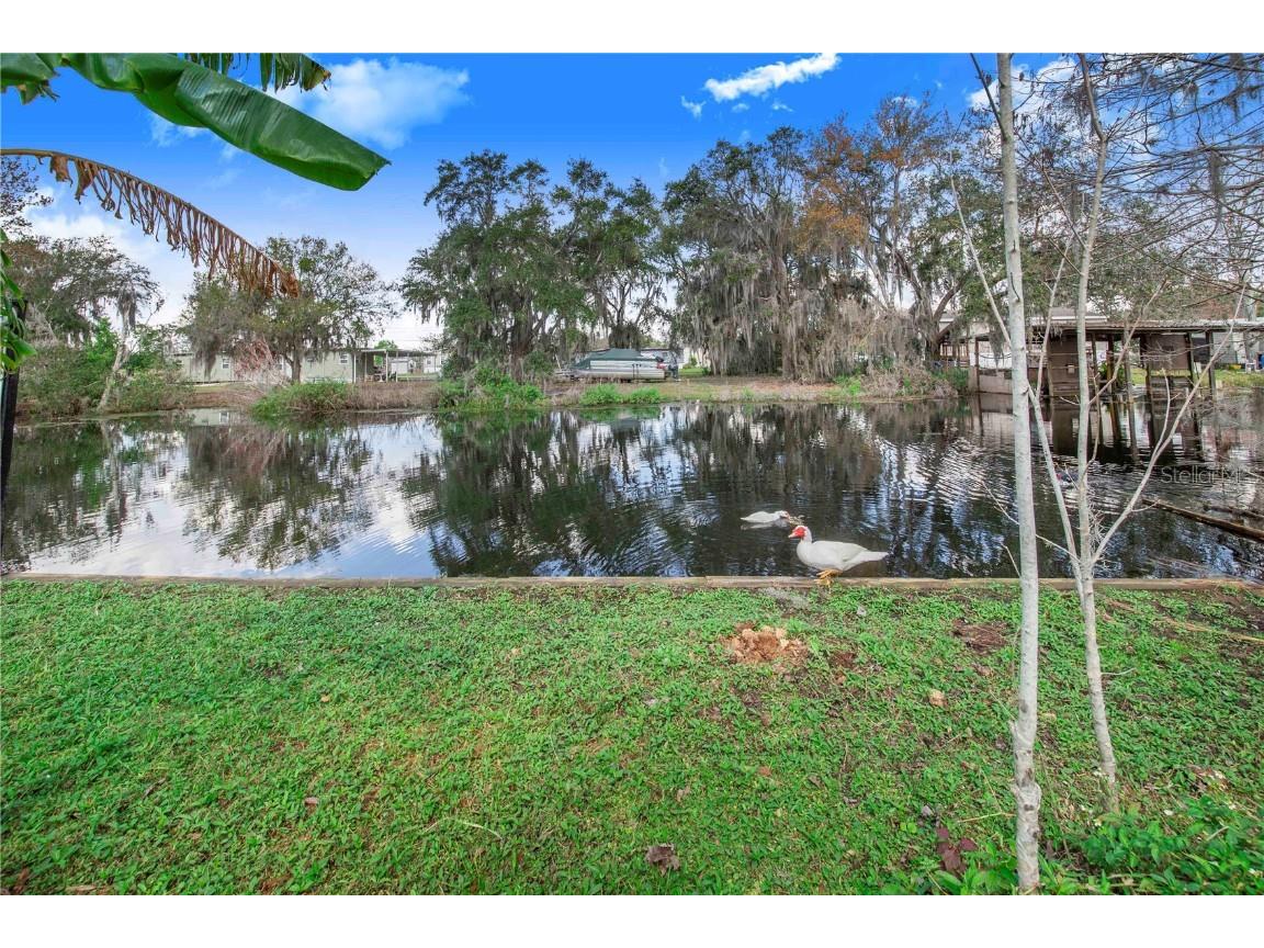 2360 Lakeview Drive Haines City FL 33844 - LAKE LOWERY P4933714 image39