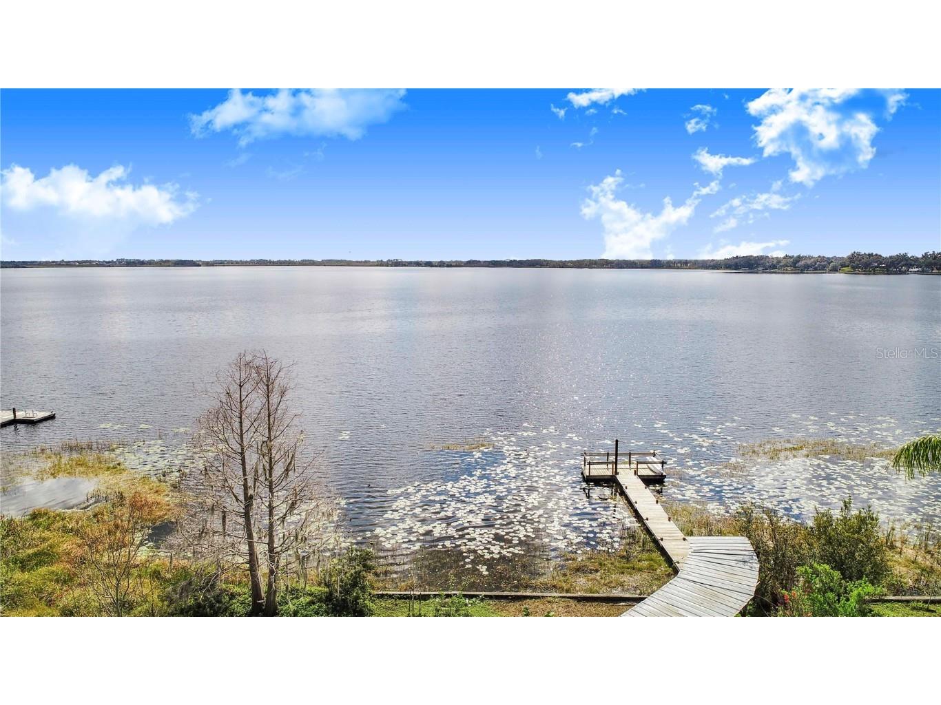 2360 Lakeview Drive Haines City FL 33844 - LAKE LOWERY P4933714 image77