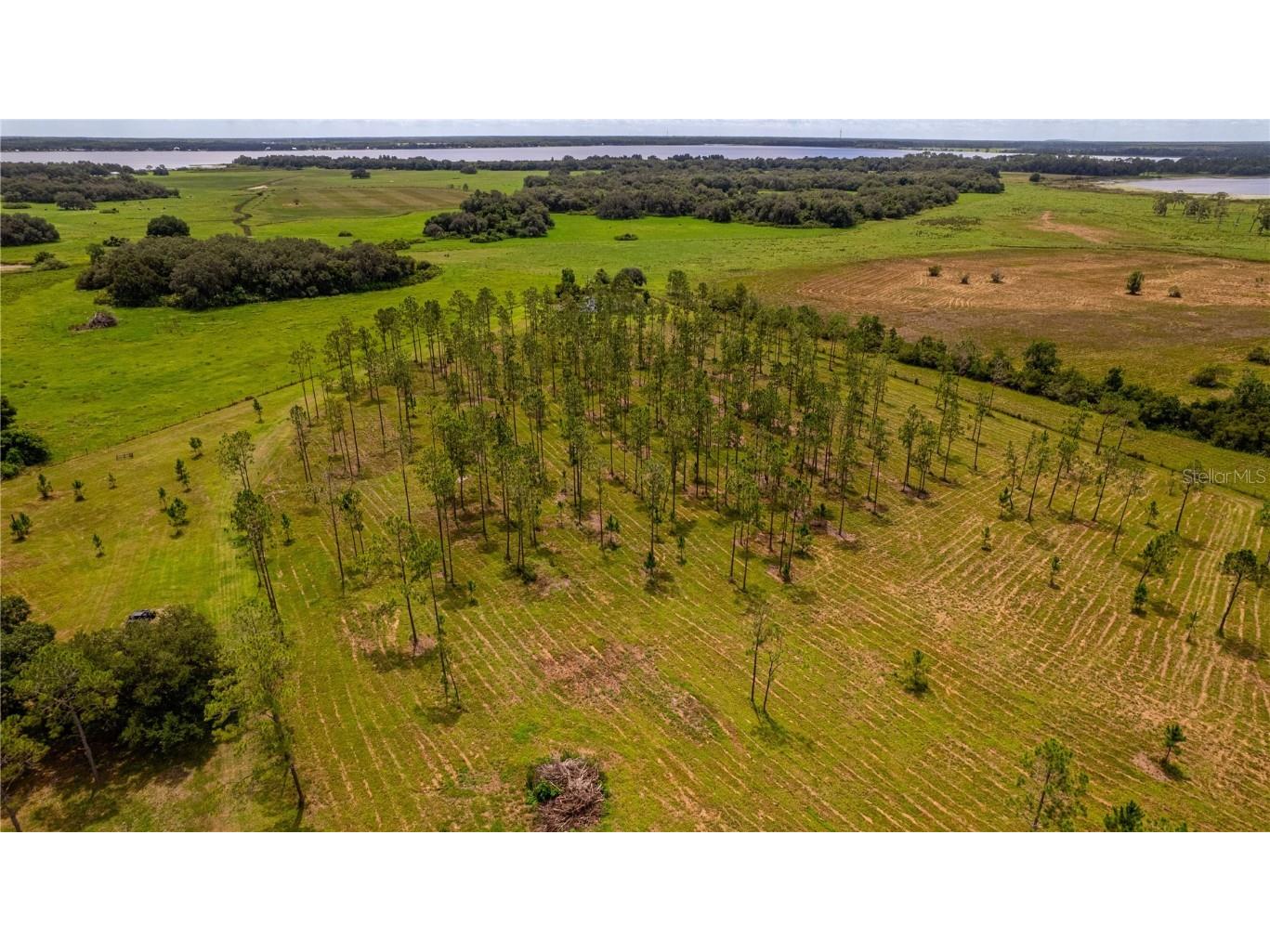 2360 Live Oak Lake Rd Saint Cloud FL 34771 - LIVE OAK LAKE S5132509 image7