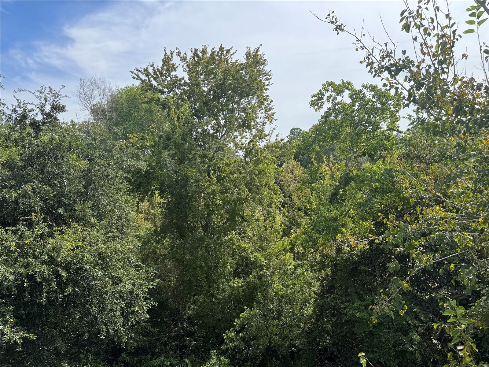 2360 SW Archer Road #1112 Gainesville FL 32608 GC534153 image13