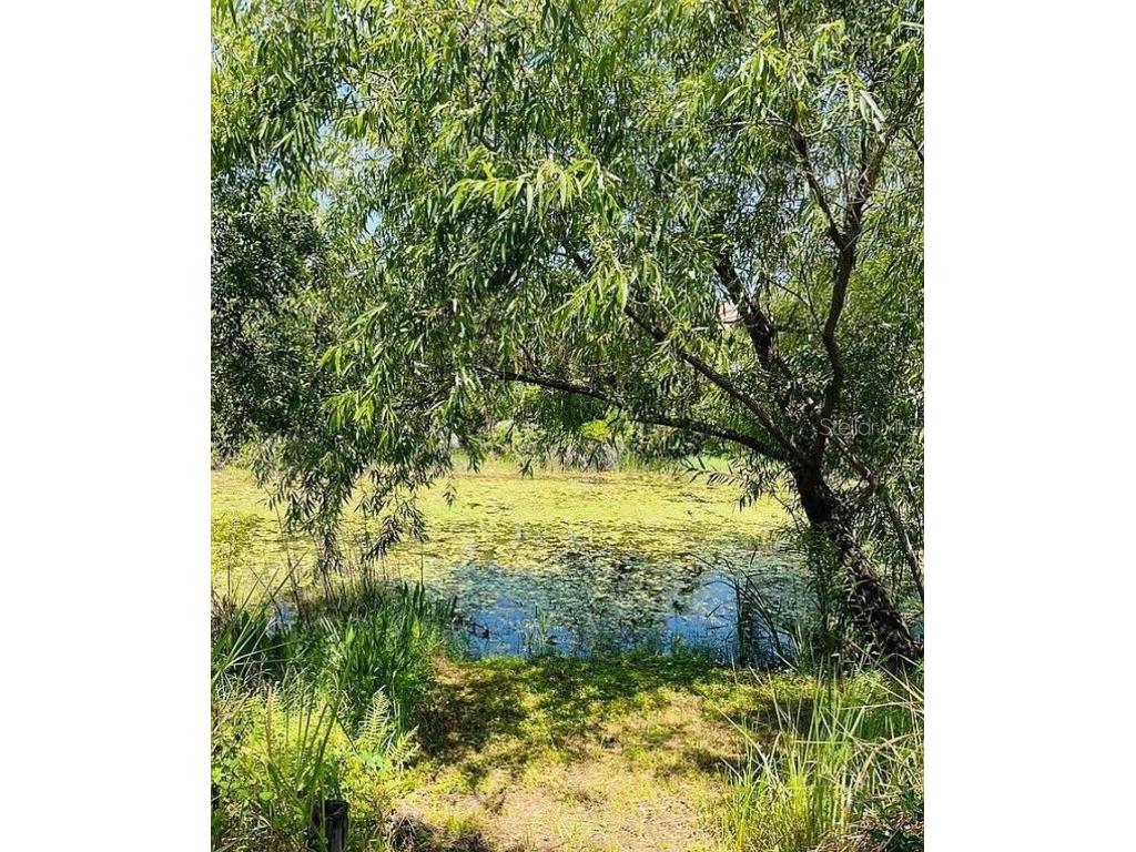 2361 Baltimore Street North Port FL 34286 O6365977 image39