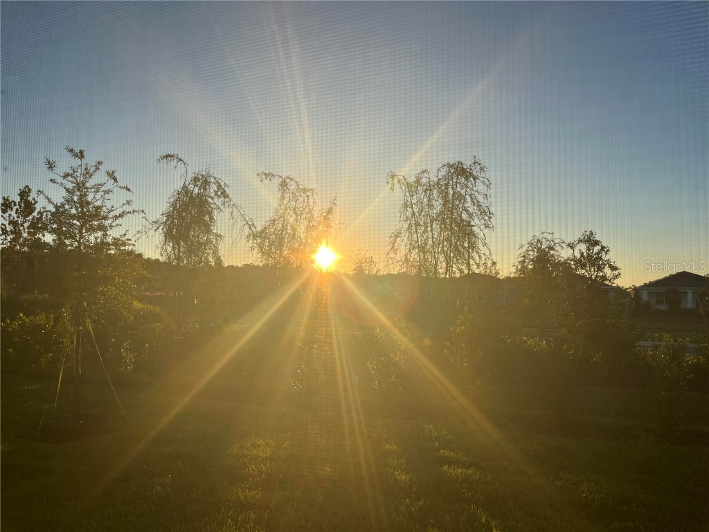 2361 Daisy Tree Road Saint Cloud FL 34771 O6352579 image6