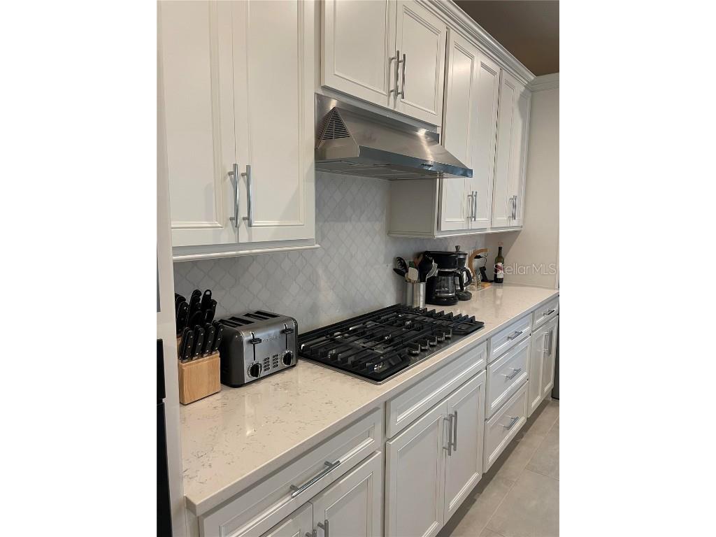 2361 Daisy Tree Road Saint Cloud FL 34771 O6352579 image9