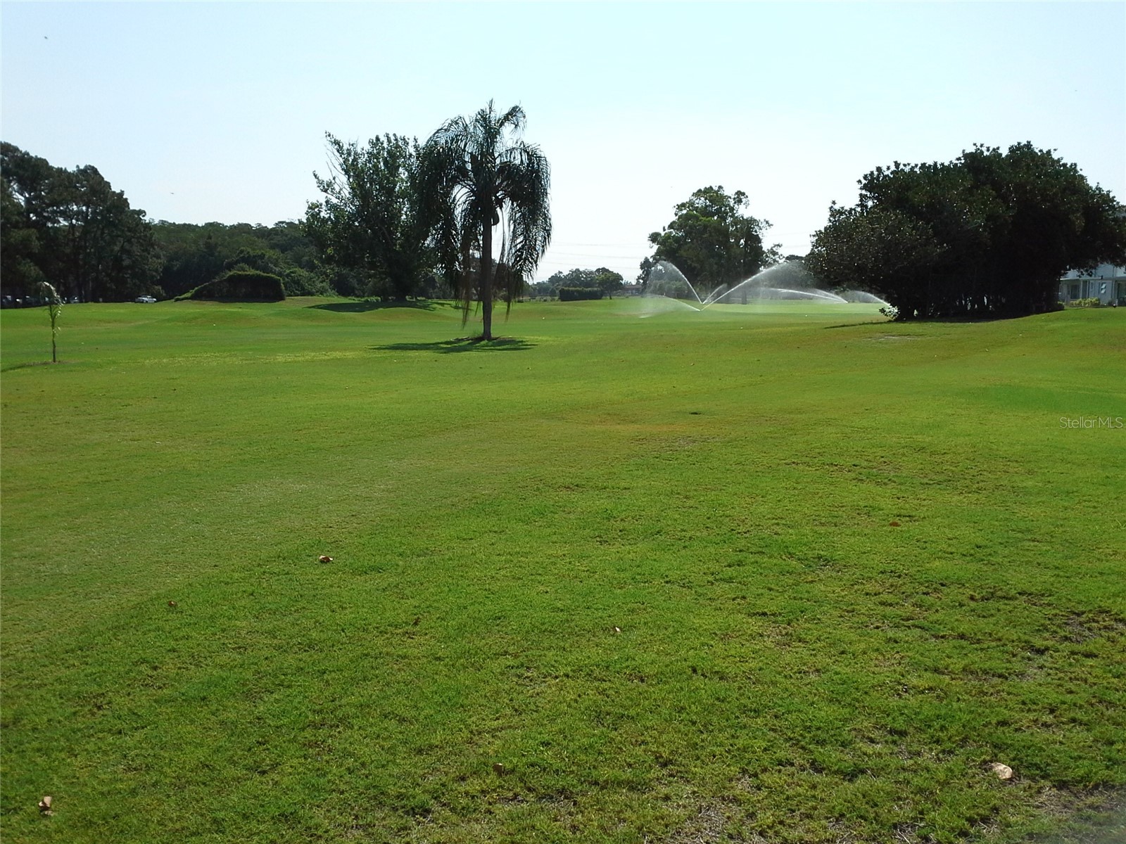 2361 Ecuadorian Way #45 Clearwater FL 33763 W7886145 image51