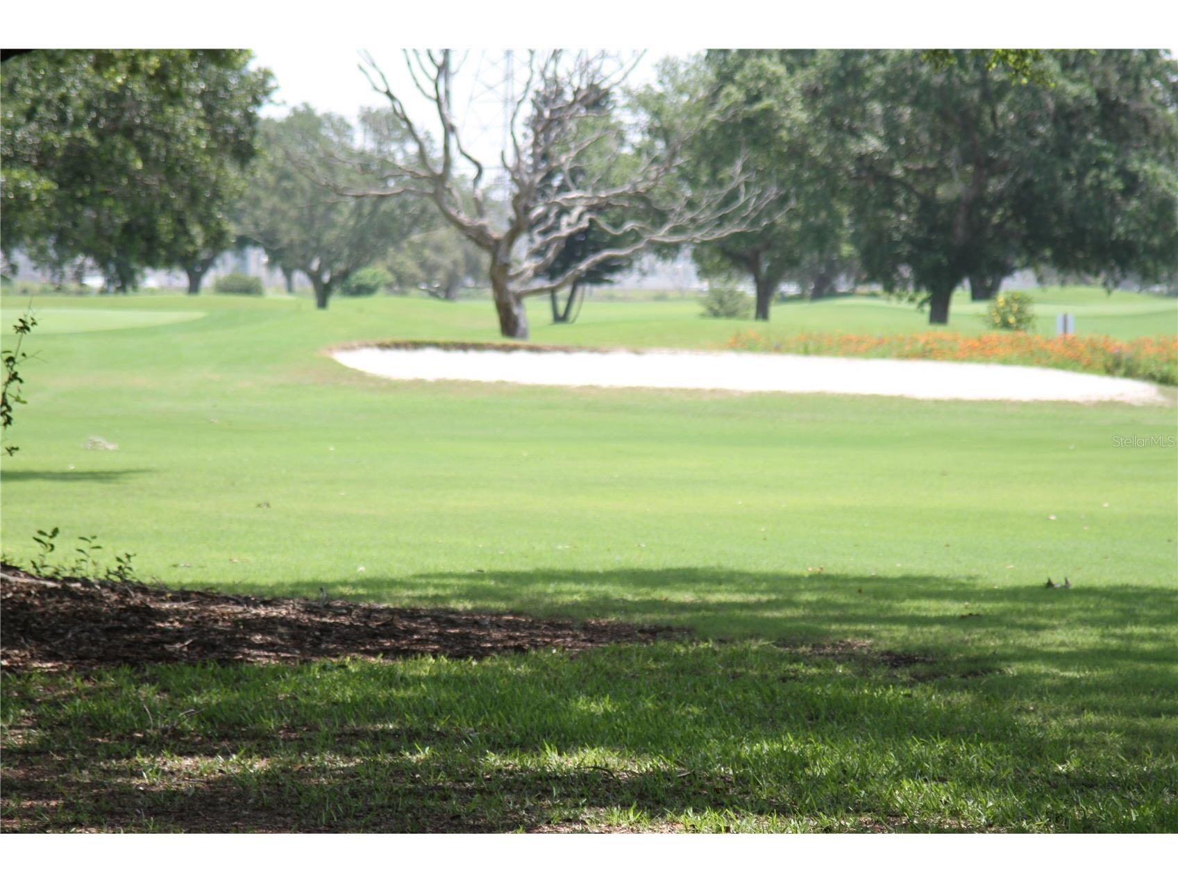 2361 Ecuadorian Way #45 Clearwater FL 33763 W7886145 image84
