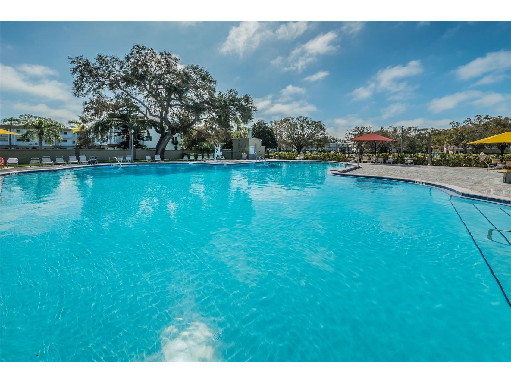 2361 Jamaican Street #25 Clearwater FL 33763 TB8495822 image58
