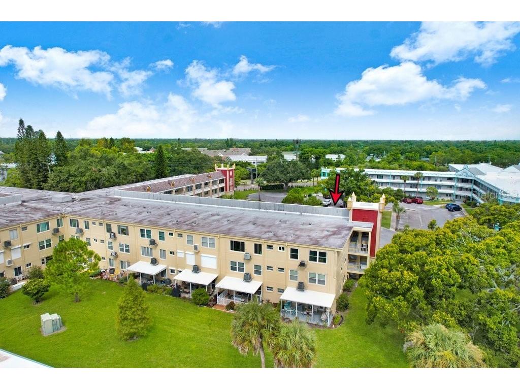 2361 Jamaican Street #51 Clearwater FL 33763 TB8418245 image36