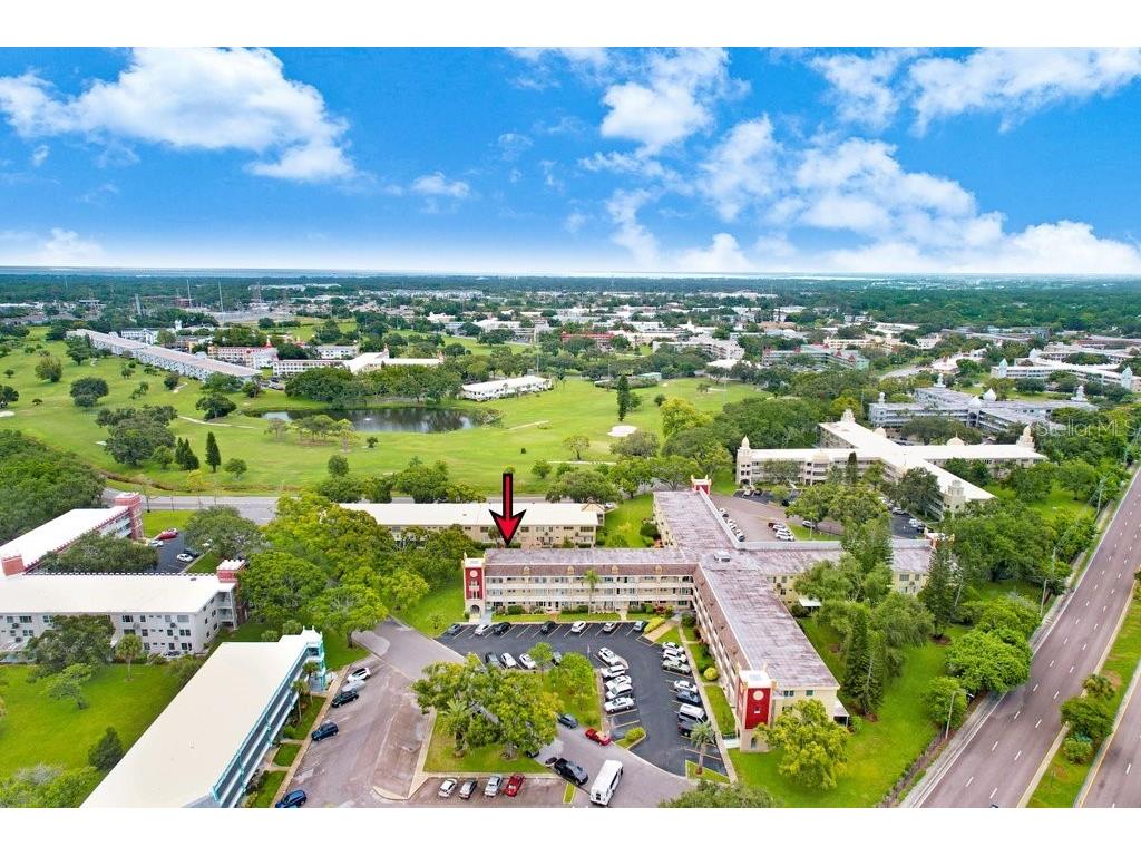 2361 Jamaican Street #51 Clearwater FL 33763 TB8418245 image39