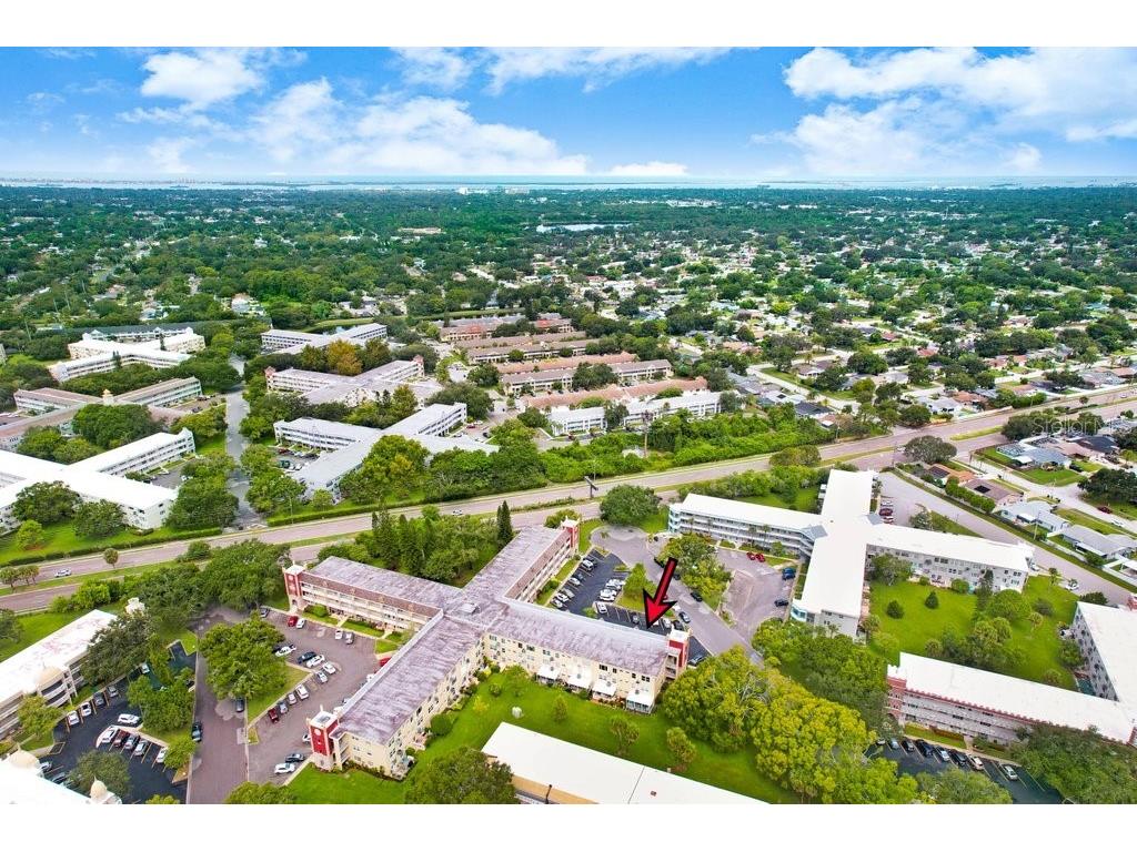 2361 Jamaican Street #51 Clearwater FL 33763 TB8418245 image41