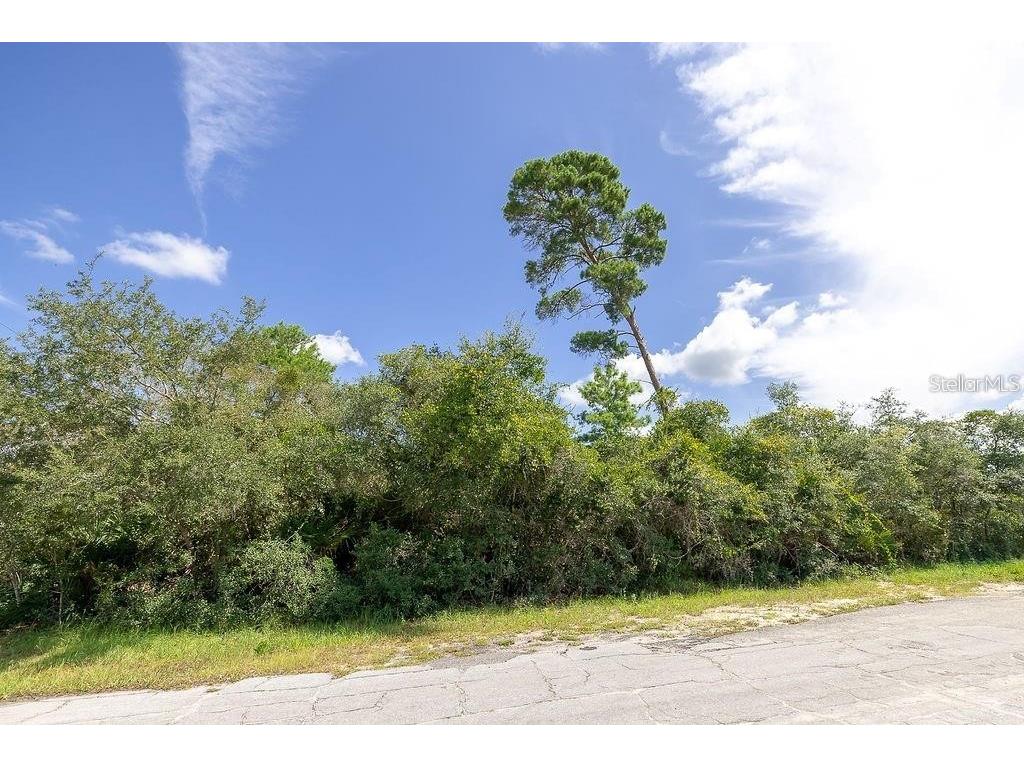 2361 Laredo Drive Deltona FL 32738 O6375673 image2