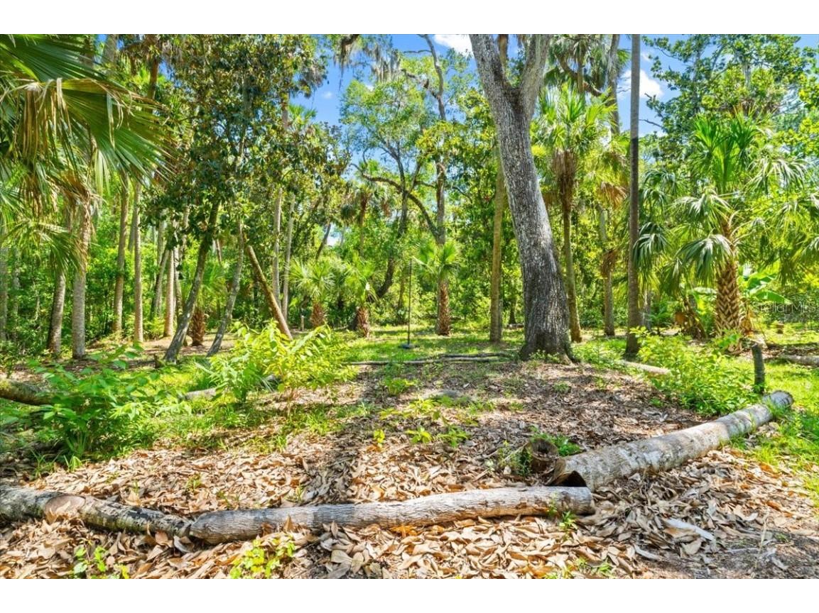 2361 Melonie Trail New Smyrna Beach FL 32168 NS1085380 image8