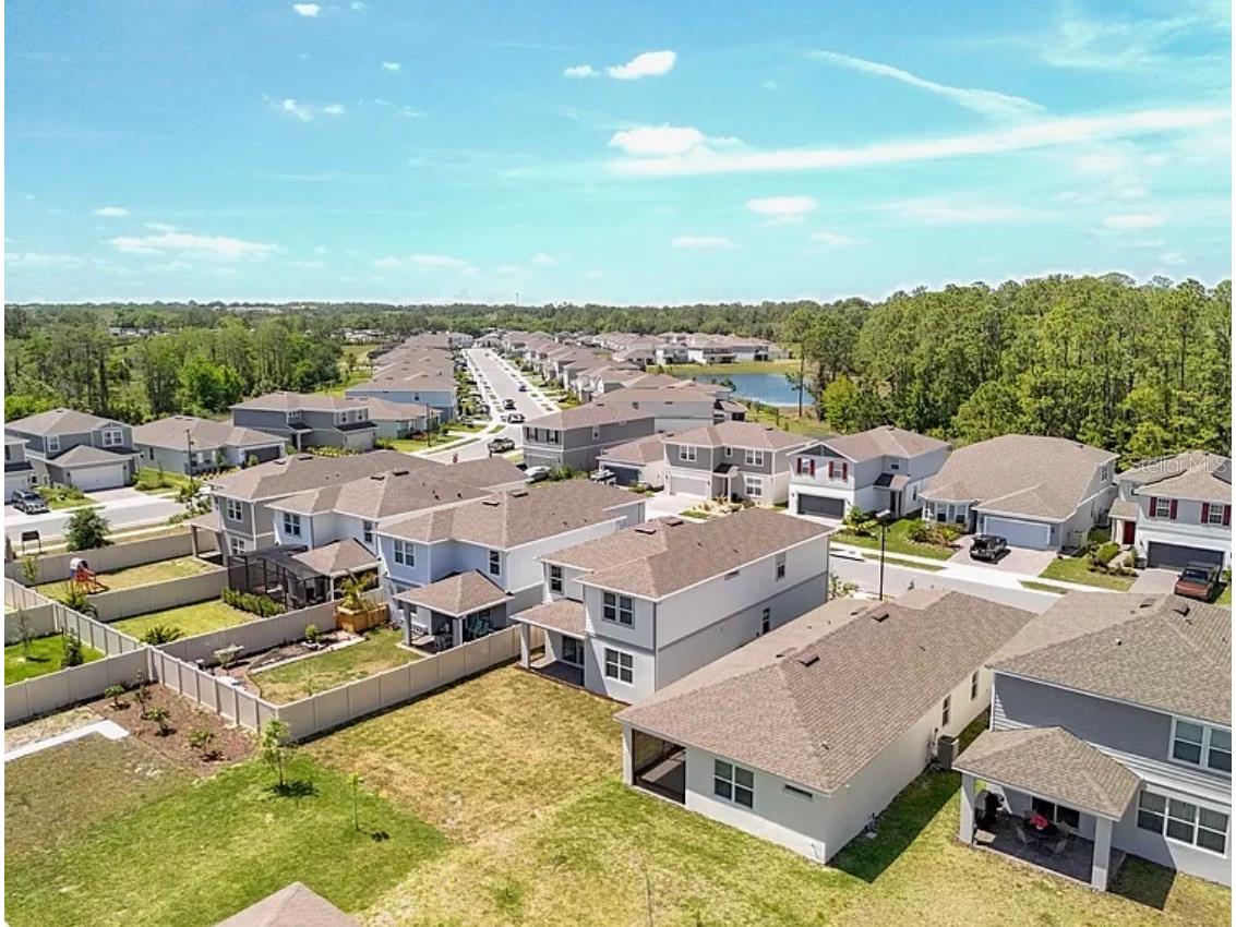 2361 Palm Park Loop Clermont FL 34714 S5151267 image8