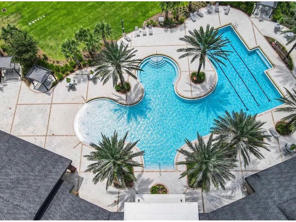 2361 Palm Park Loop Clermont FL 34714 S5151267 image9