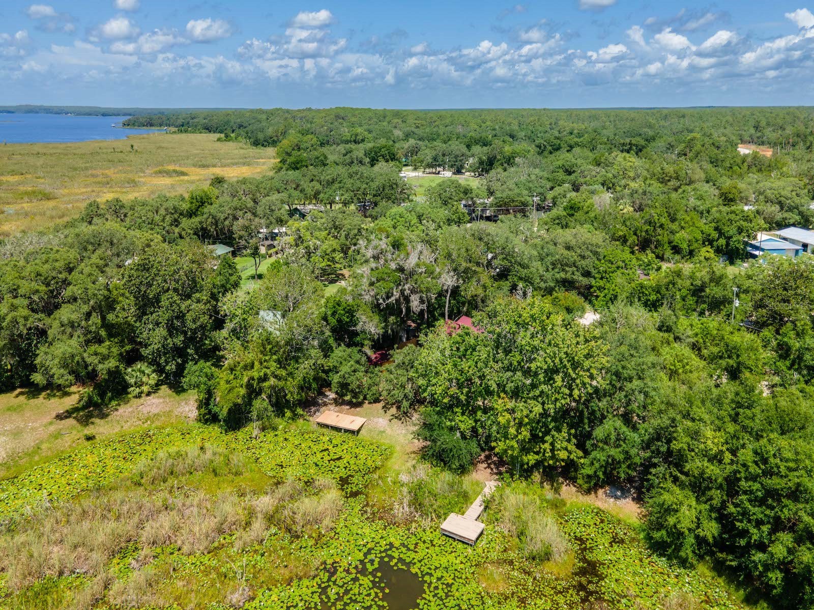 23610 & 23624 NE 154th Place Road Fort Mc Coy FL 32134 - LAKE KERR OM704761 image38