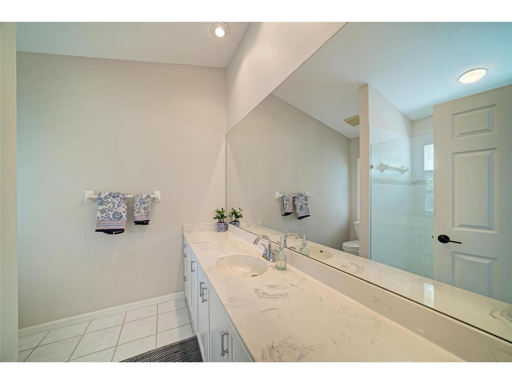 2362 Little Country Road Parrish FL 34219 A4698936 image54