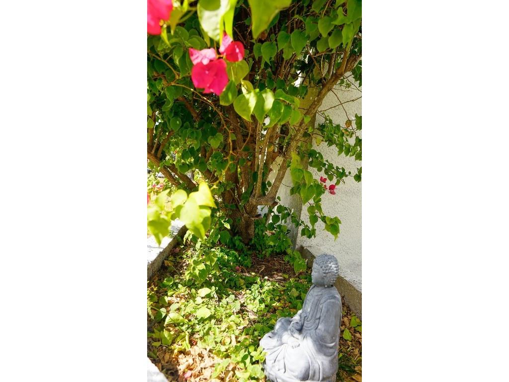 2363 68th Ave S Saint Petersburg FL 33712 O6361495 image3