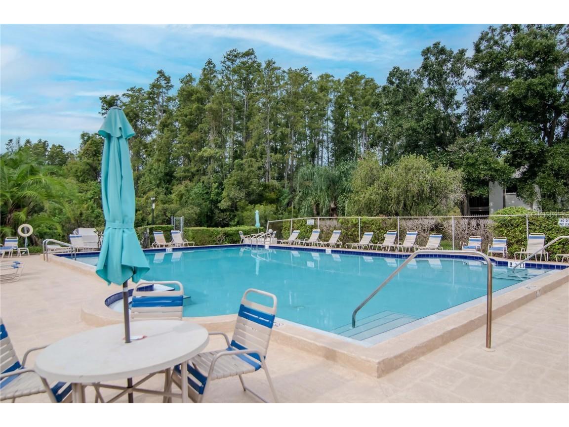 2363 Flanders Way #C Safety Harbor FL 34695 TB8430734 image26