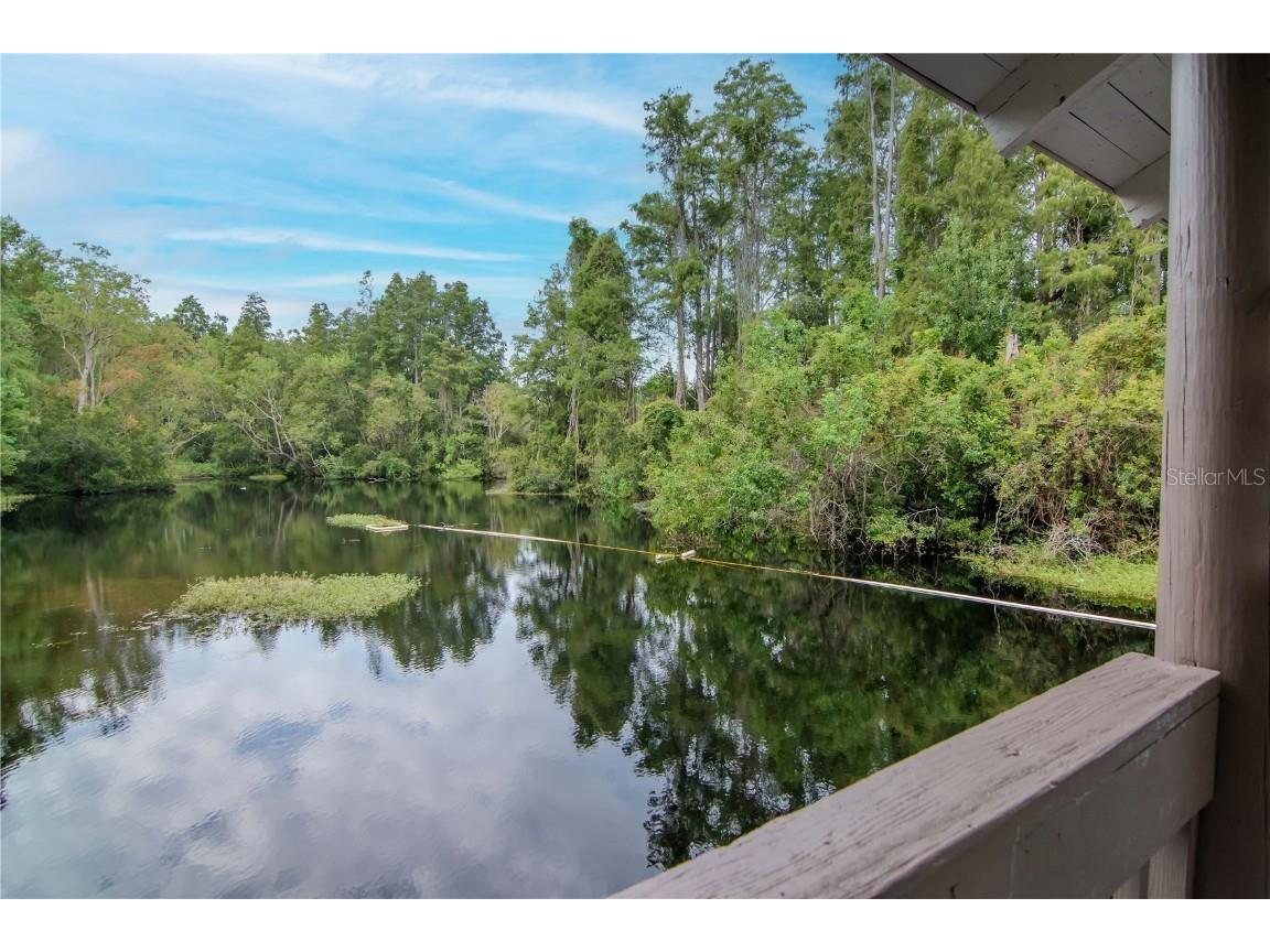 2363 Flanders Way #C Safety Harbor FL 34695 TB8430734 image29