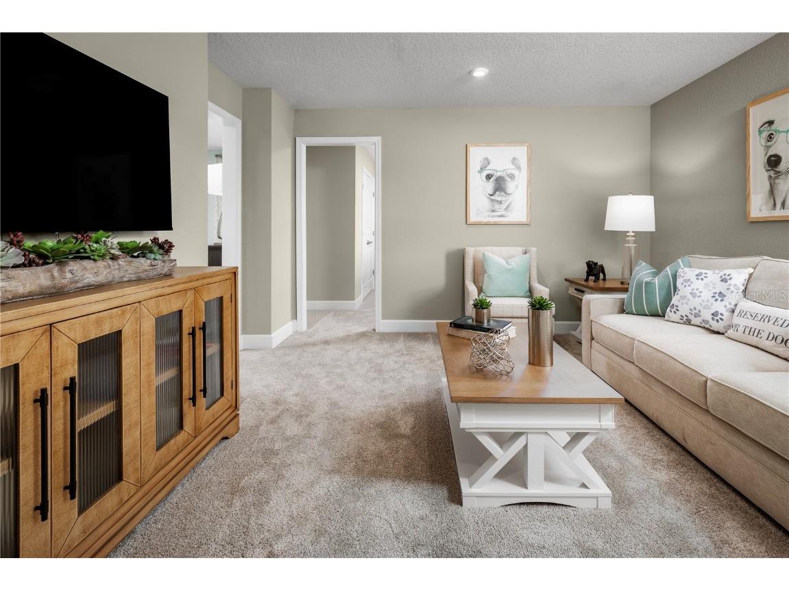 2363 Scenic Park Loop Wimauma FL 33598 W7877418 image10