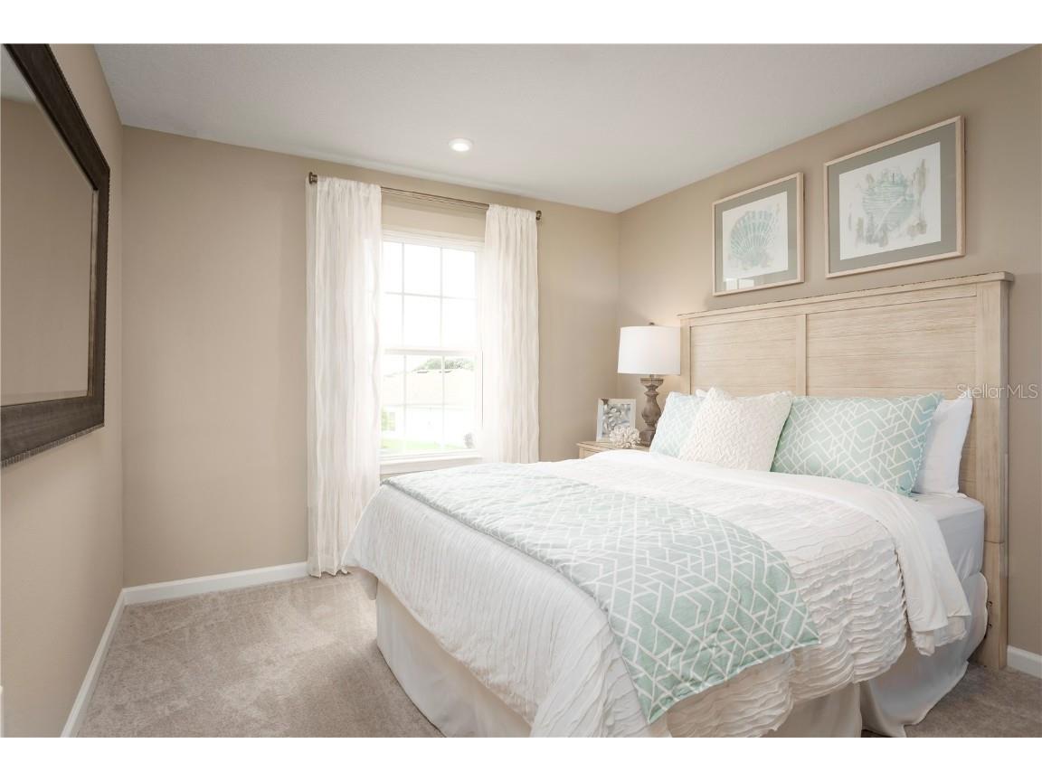 2363 Scenic Park Loop Wimauma FL 33598 W7877418 image17