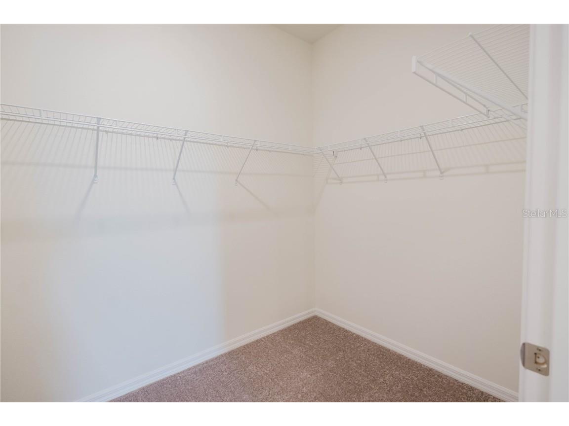 2363 Selenia Street Lake Alfred FL 33850 O6324057 image17