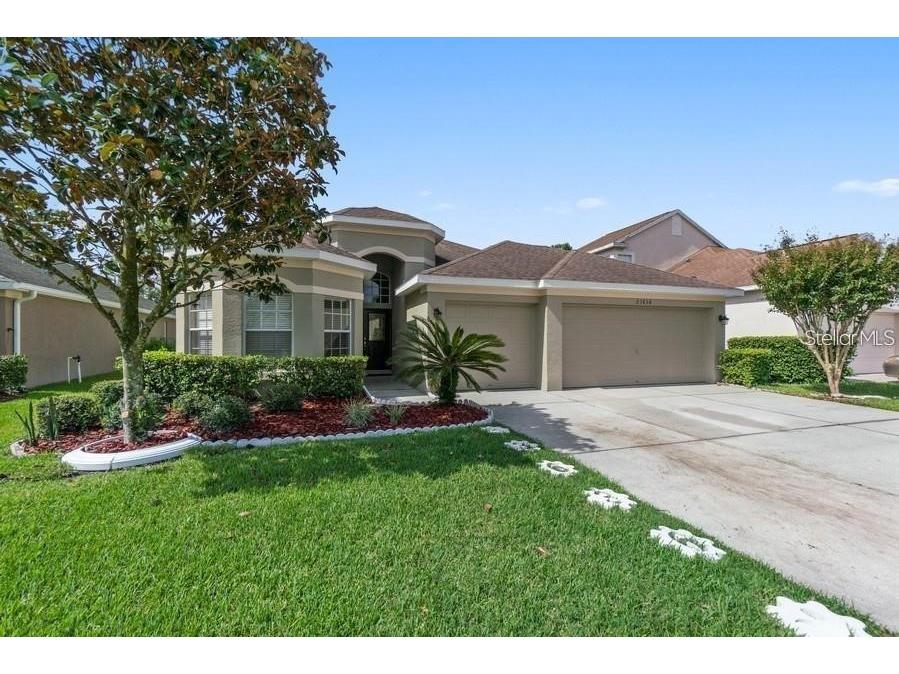 23636 Estero Court Land O Lakes FL 34639 O6158552 image1