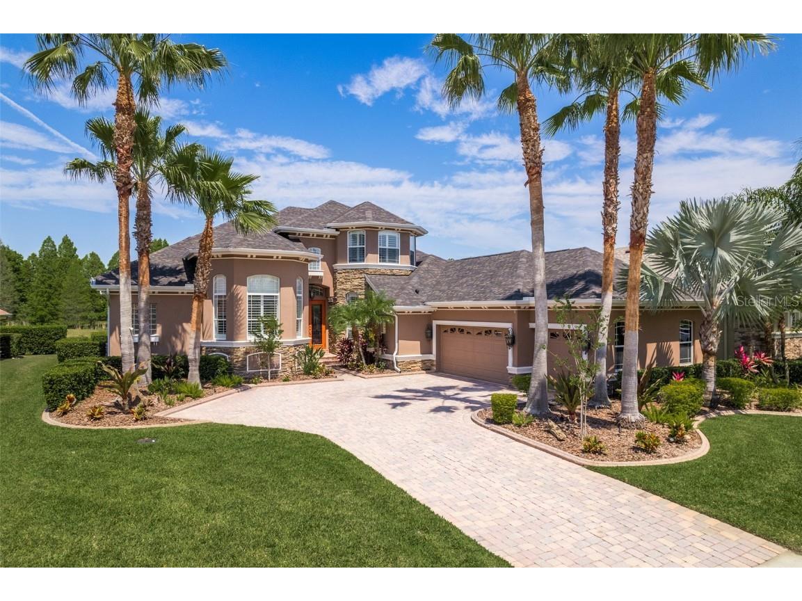 23638 Gracewood Circle Land O Lakes FL 34639 U8238208 image1