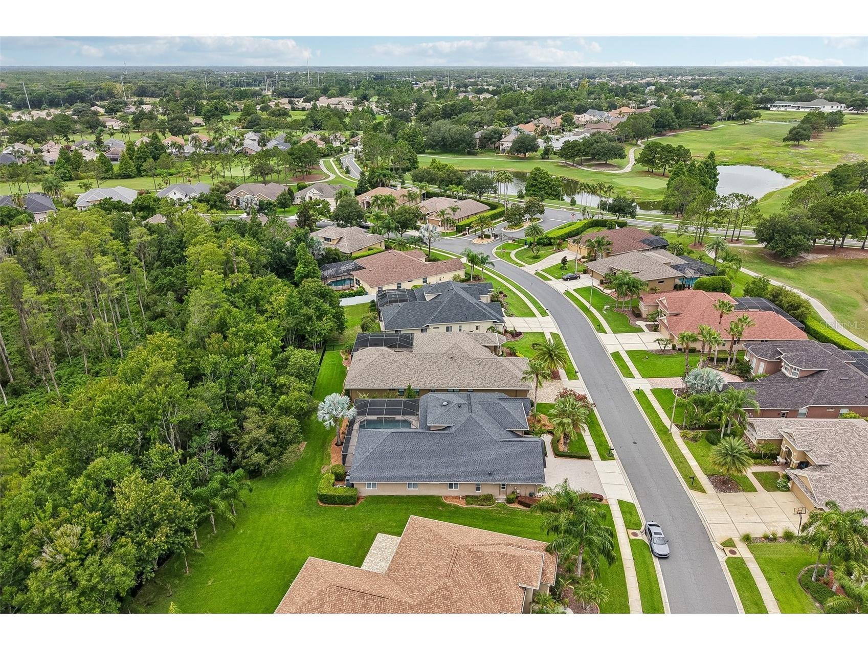 23639 Gracewood Circle Land O Lakes FL 34639 TB8529458 image52