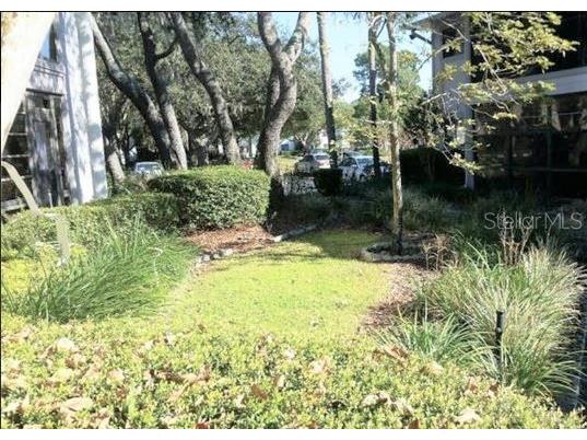 2364 Oak Park Way #102 Orlando FL 32822 - LAKE FREDRICKA O6421995 image17