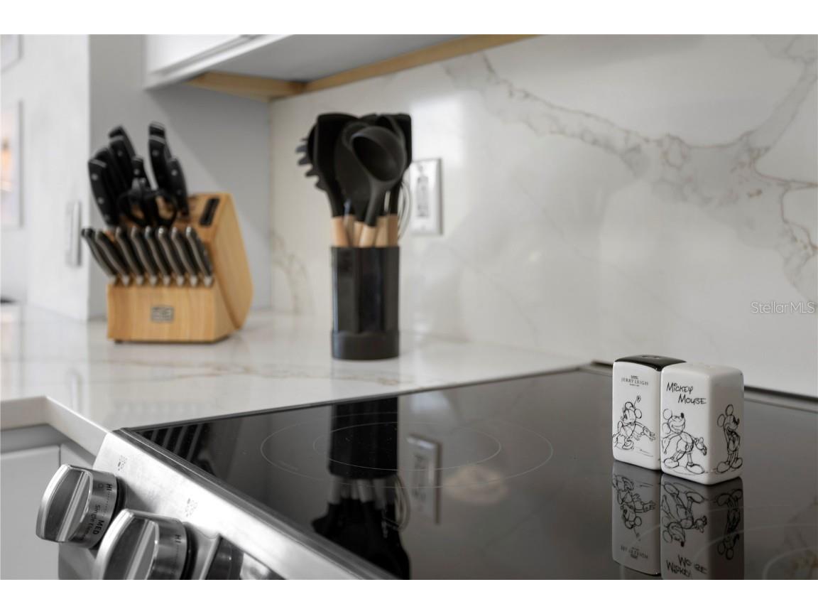 2364 Silver Palm Drive Kissimmee FL 34747 O6250059 image10