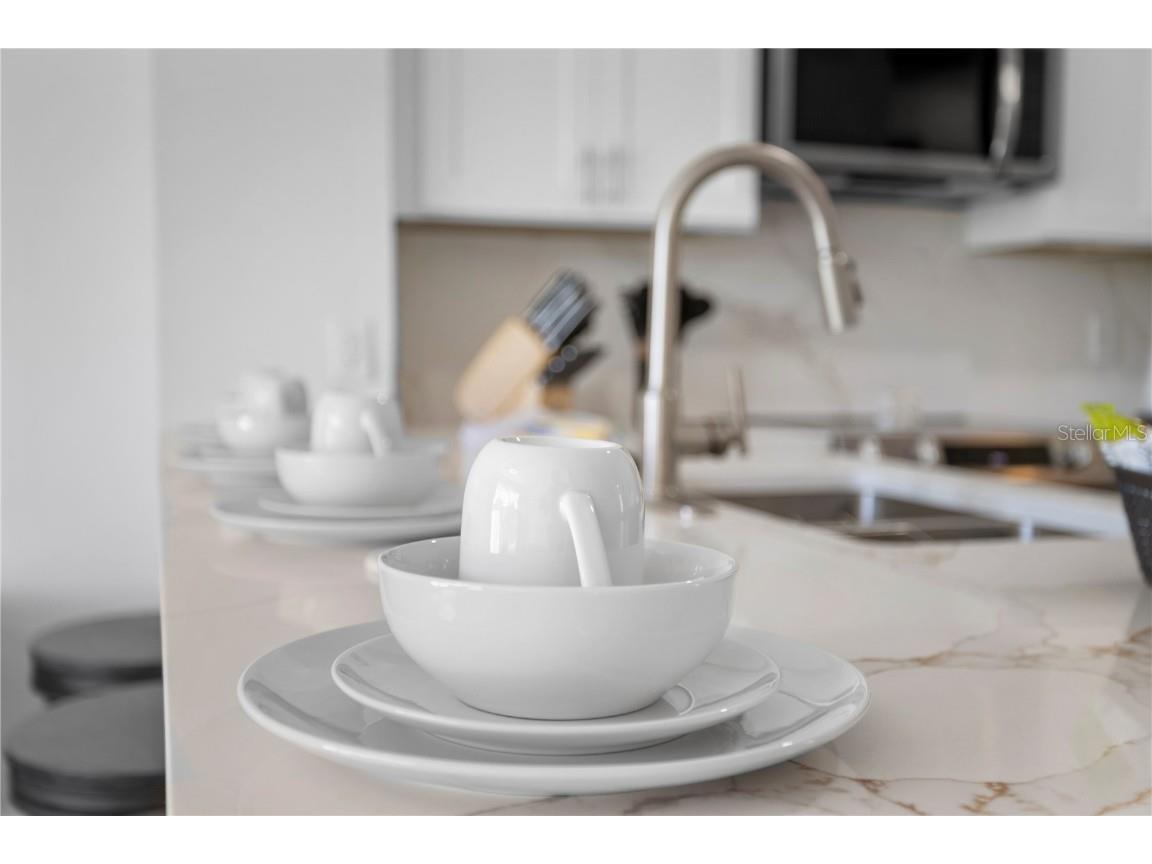 2364 Silver Palm Drive Kissimmee FL 34747 O6250059 image11