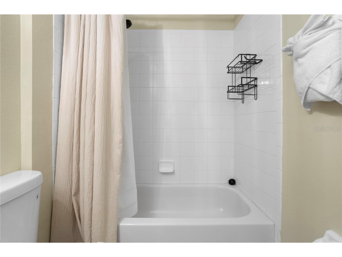 2364 Silver Palm Drive Kissimmee FL 34747 O6250059 image29