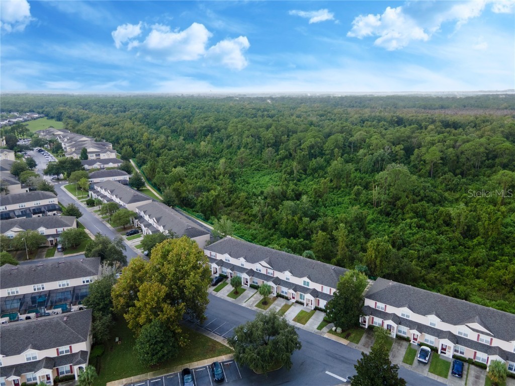 2364 Silver Palm Drive Kissimmee FL 34747 O6250059 image37